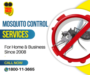 Mosquito Control Services Ad