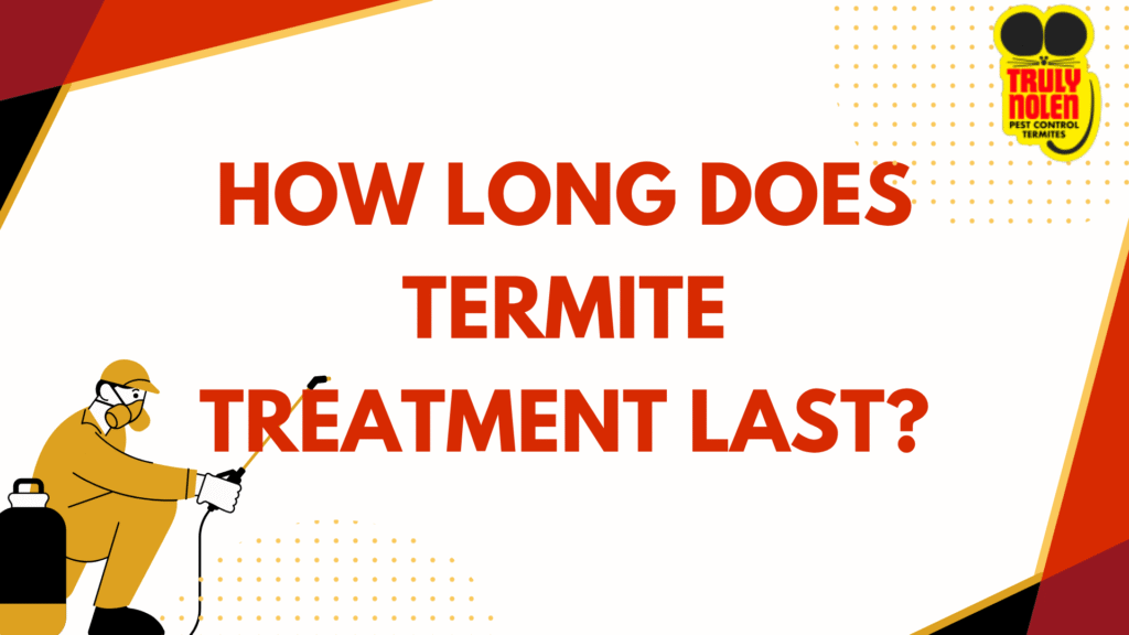 How Long Does Termite Treatment Last?