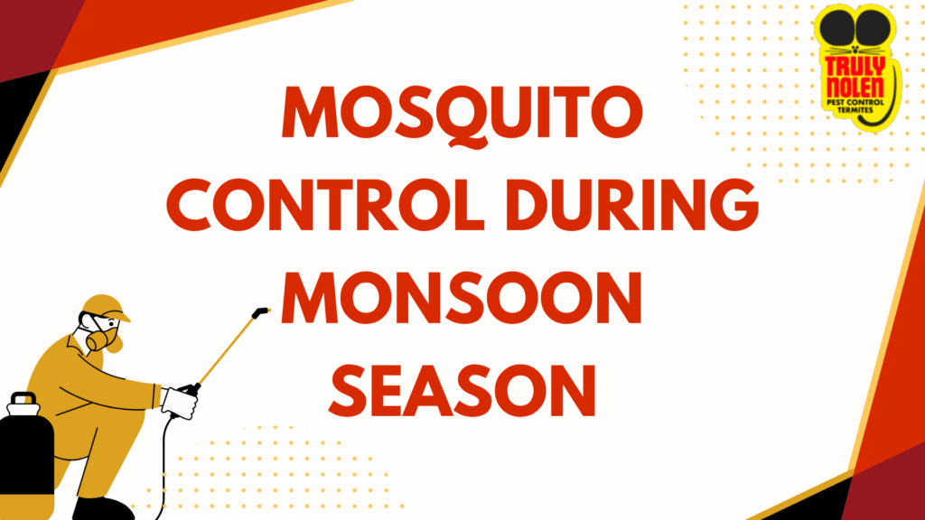 Mosquito Control During Monsoon Season