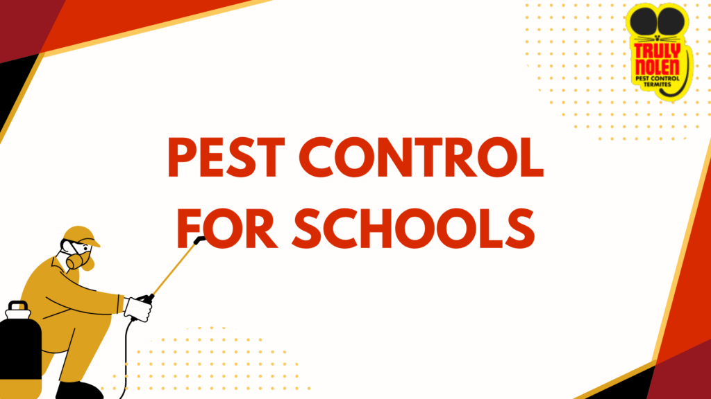 Pest Control for Schools