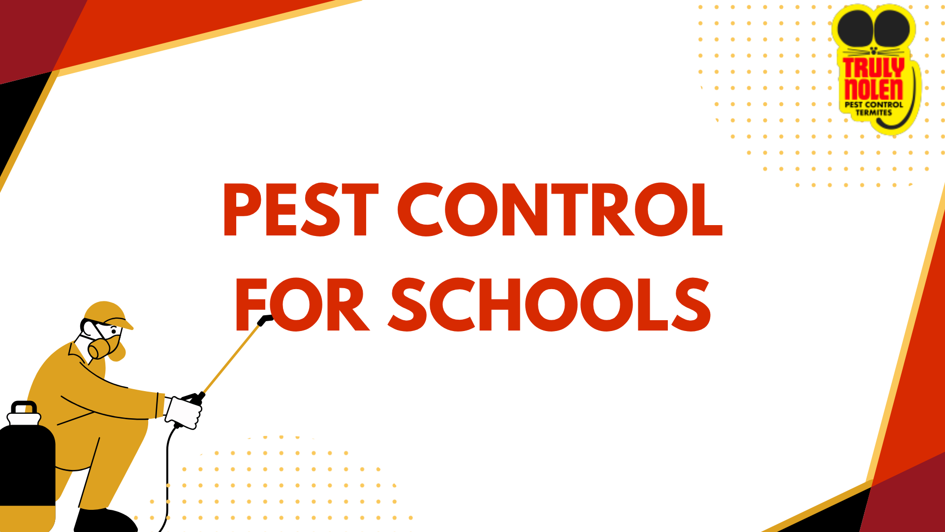 School Insect Control How to Eliminate Fruit Flies: Effective Methods | TNI
