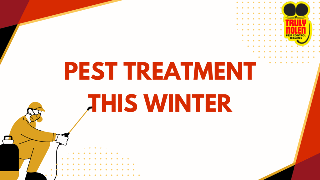 Pest Treatment This Winter