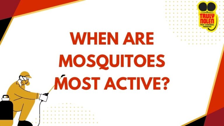 When Are Mosquitoes Most Active?