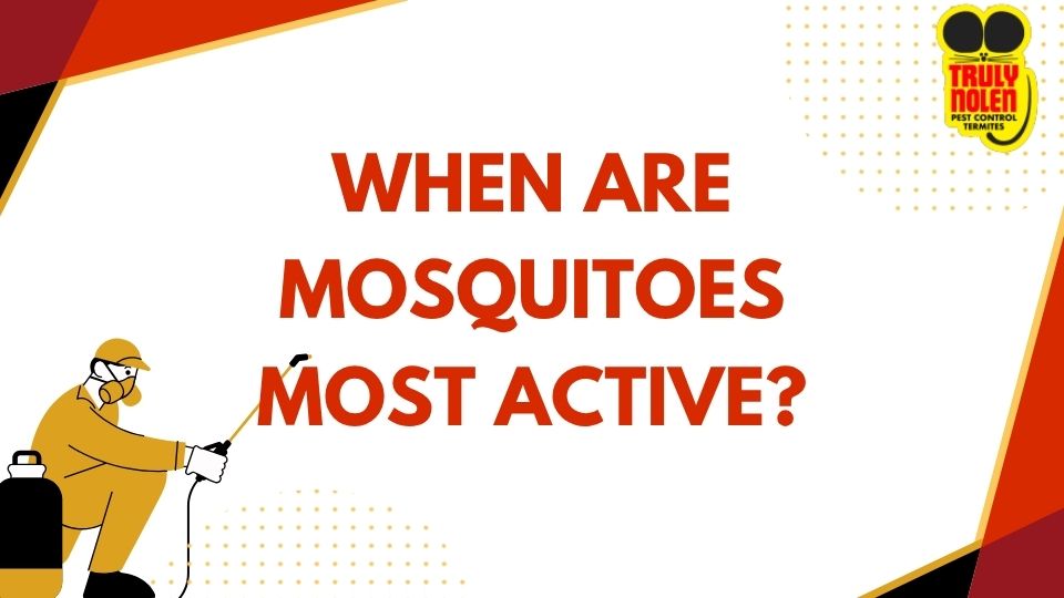 When Are Mosquitoes Most Active?
