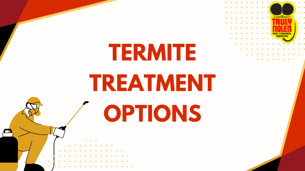 Termite Treatment Options